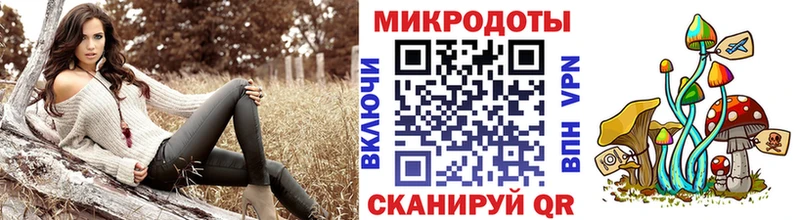 где продают наркотики  Ясный  гидра как зайти  Галлюциногенные грибы мухоморы 